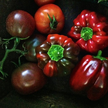 Beautiful Veggies