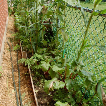 Toronto Small Space Organic Raised Bed Garden