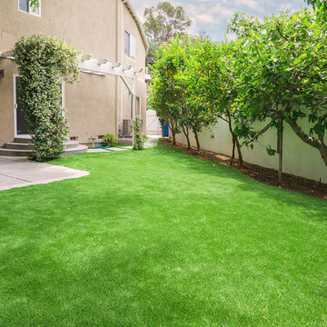 Sherman Oaks - New Backyard