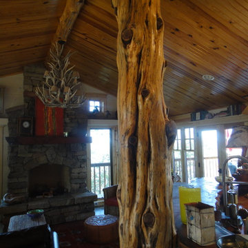 Rustic Lake House