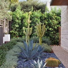 dream gardens