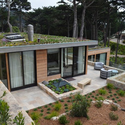 Contemporary Modern Home - Windows And Doors