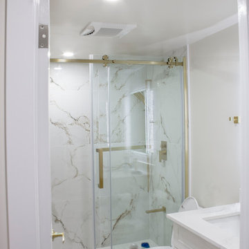 Rupert Avenue Partial House Renovation