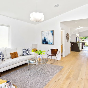 Venice Beach Modern