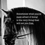 Paula Glover's photo