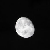 Pat Gibbons's photo