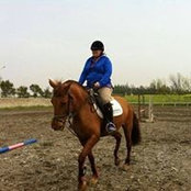 Midge Gauntt's photo