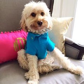 Melissa Talamas's photo
