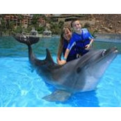 Patti Arnold's photo