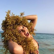 Noa Arz's photo