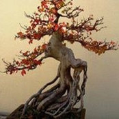 Wendi Thomas's photo