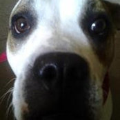 Diana Feltner's photo