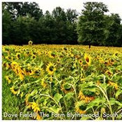 Steve Boney's photo