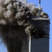 Bradley Wilcox's photo