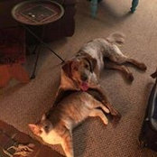 Jennifer Van Brunt's photo