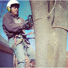 IndyArborist.com