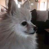Kim Porter's photo