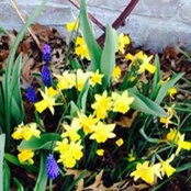 FrankLori Birchfield's photo
