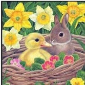 Karen Diering Clark's photo