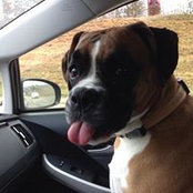 Sara Gaborik's photo