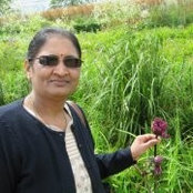 Foto von Dhanu Halai