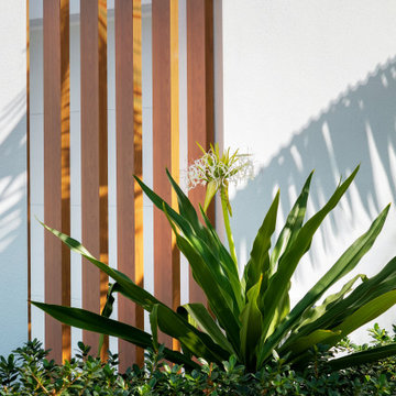 Courtyard House