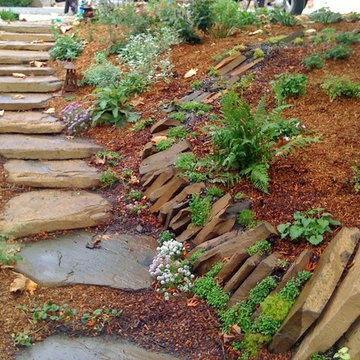 Stone Steps & Paths