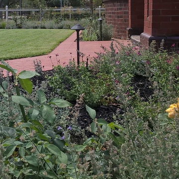 Front and side garden, Bungalow, Colonel Light Gardens