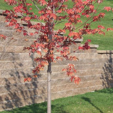 retaining walls