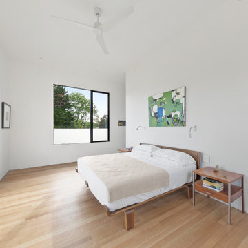 Modern Oasis