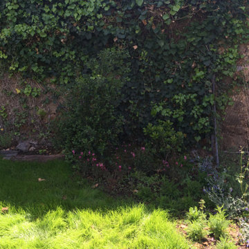 Un jardín de perennials
