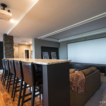 entertainment room/playroom