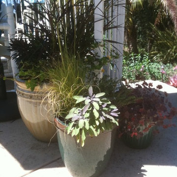 container plantings smooth transition along stairs