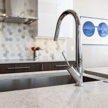South Loop Highrise Kitchen Renovation