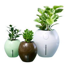 Gardening Easy