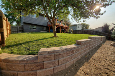 Design ideas for a transitional landscaping in Denver.