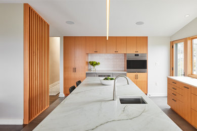 Example of a 1960s kitchen design in Seattle