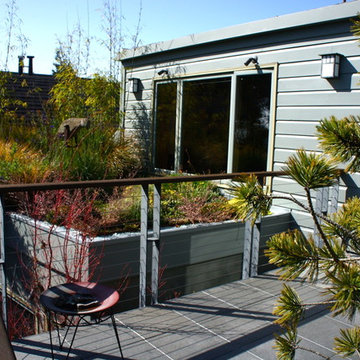Noe Valley Roof Garden