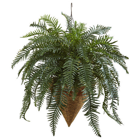 33" Giant River Fern With Cone Hanging Basket, Green