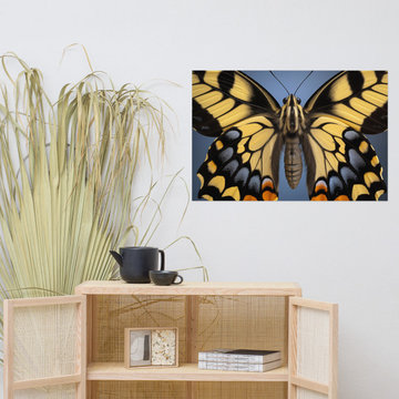 Flutter of Fancy Swallowtail Butterfly Close-up Photorealism Digital Art Loose P