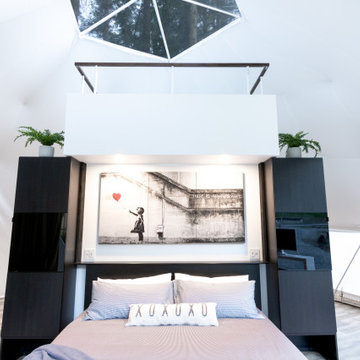 Geodesic Dome Buil