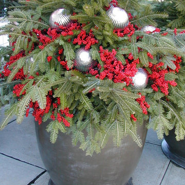 Container Gardens- Winter & Holiday Decor