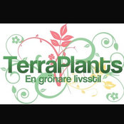 terraplantss foto