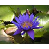 Beth Butcher's photo