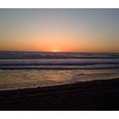 Patti Wiles's photo