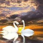 Puja Desai's photo