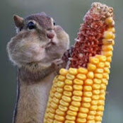 Hongyi Wang's photo