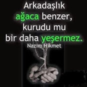 Bülent Ekinci's photo