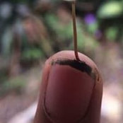 Patrick Dela Cruz's photo