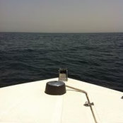 Foto von Osama Alothman